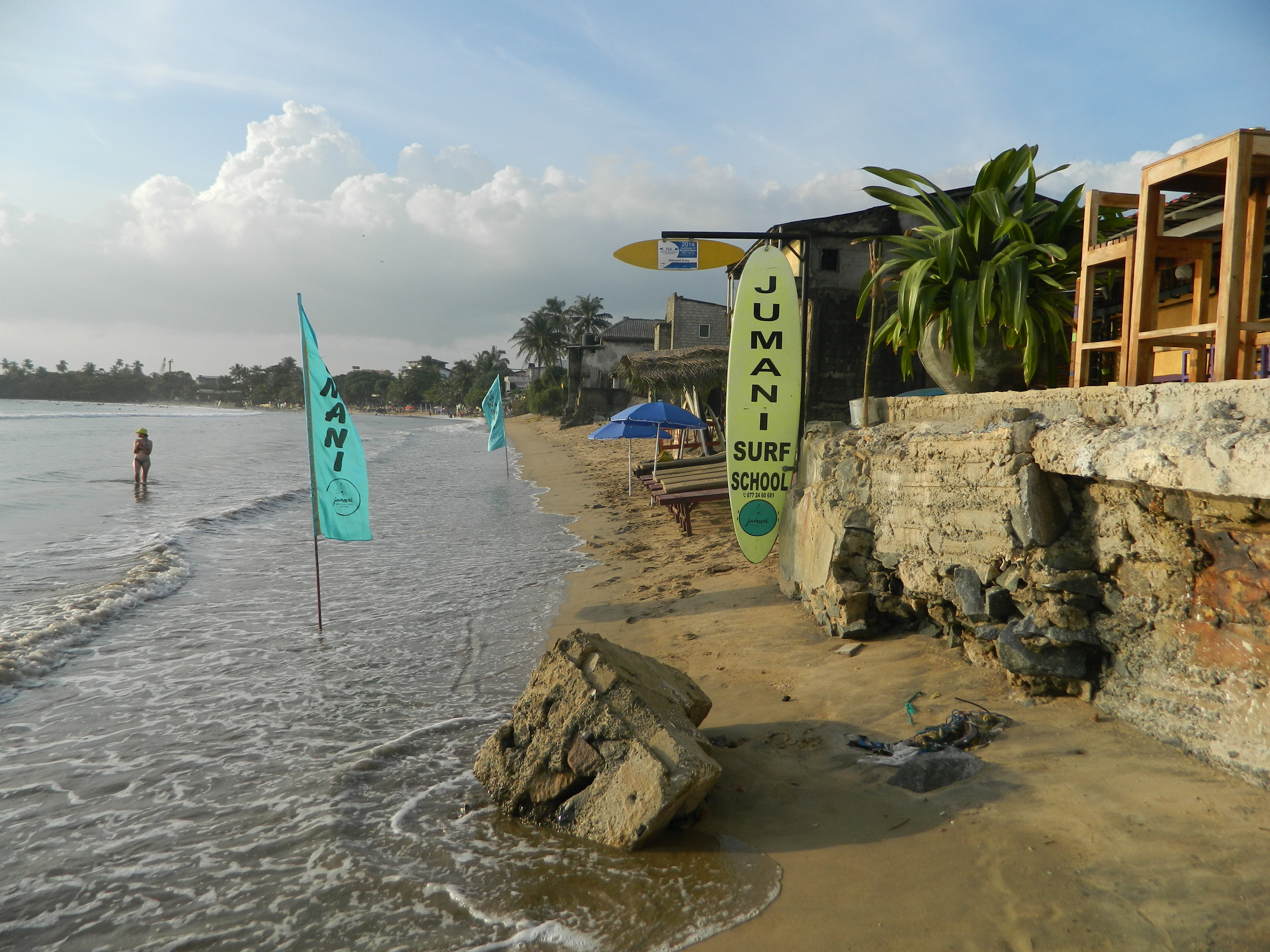 Surfboards lined up on the beach ready for rental