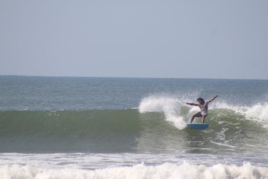 Fresh tropical drinks